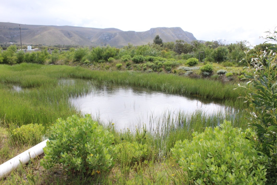  Bedroom Property for Sale in Franskraal Western Cape